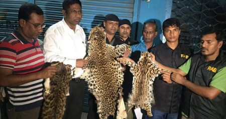 2 Held with Leopard skin in Cheetah