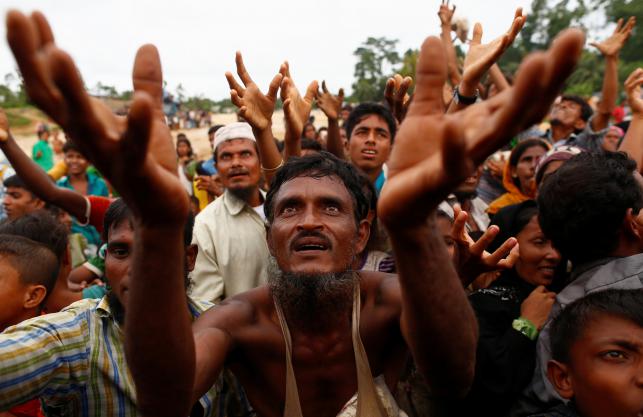 Rohingya insurgents call for humanitarian ceasefire