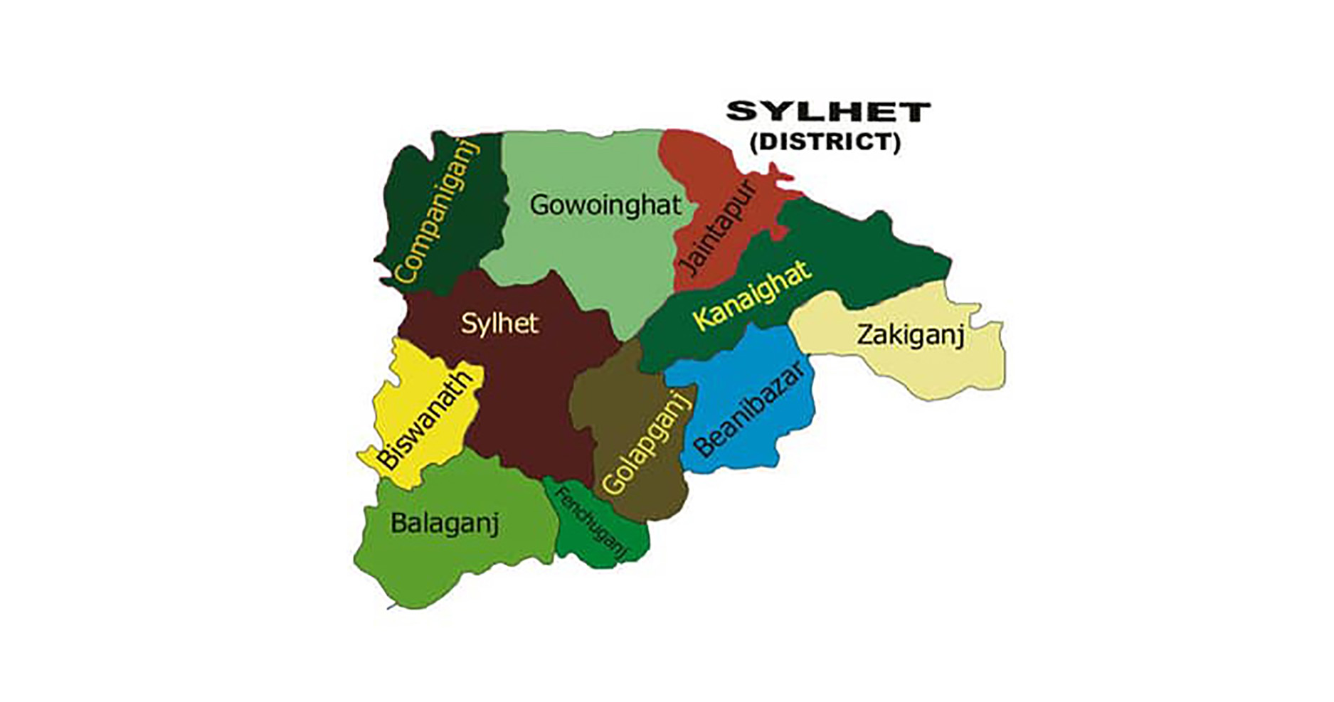 Mother ‘kills 2 sons’, attempts suicide in Sylhet