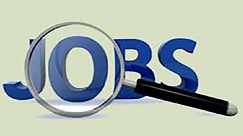 District Council office Job Circular 2018