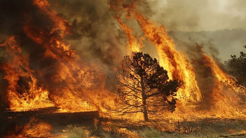 Drought, wildfires following heatwave in Europe