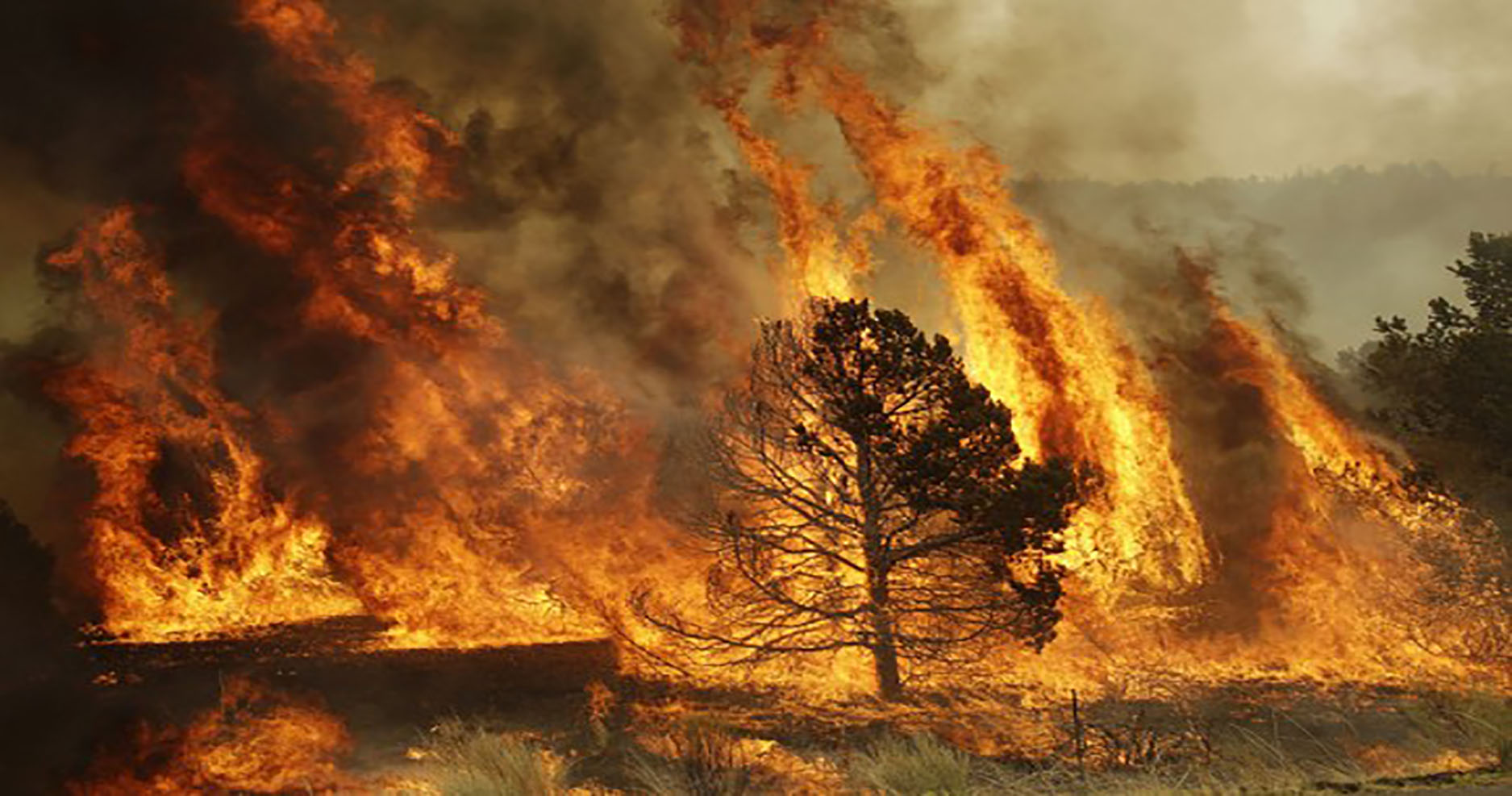 Drought, wildfires following heatwave in Europe